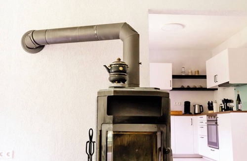 Schwanheim Apartment | birds-nest vacation apartment view of Palatinate Forest fireplace dog-friendly