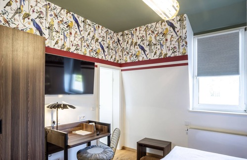 Heidelberg City Centre Apartment | Birds of Paradise