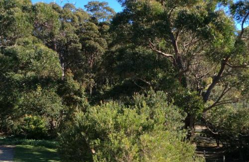 Tura Beach Apartment | Birdsong at Dolphin Cove