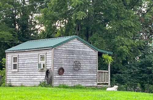 Williamsburg Cabin | Birdsong cabin