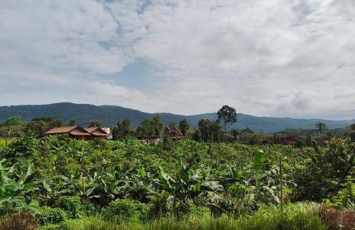 Thalassery House | Birdwing - Experiential Farmstay Resort by GoodEarth