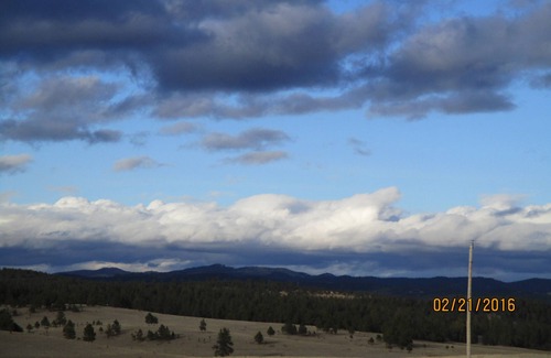 Hot Springs Cabin | Bison Pines! Beautiful Country Setting. Peace and Quiet!