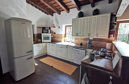 Domaszek Villa | Bivaly Tanya