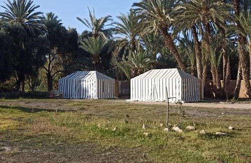 Ouijjane Other | BIVOUAC Sous Les Palmiers Bleus
