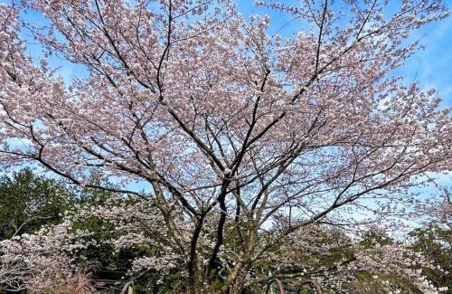 Imazu House | Biwako Hills - Vacation STAY 57199v