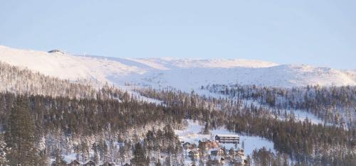 Bjornrike Apartment | Björnrike Vemdalen utsikt över Sonfjället