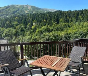 Bjelasnica Apartment | Bjelasnica with amazing view