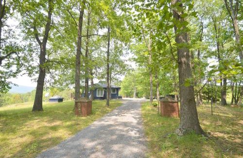 Berkeley Springs House | Black Bear Cabin - Fire Pit, Grill, View, Pet Friendly, Fireplace, King Bed, Wifi, Game Room