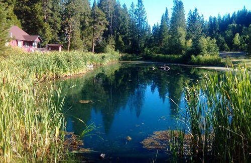 Long Barn Cabin | Black Bear Cabin In The Stanislaus National Forest.
