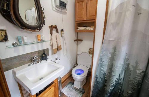 Necedah House | Black bear cabin with blow up hot tub