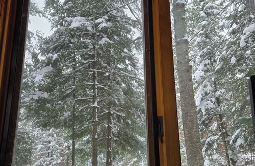 Frederic Cabin | Black Bear Lodge: Hike, Fish, and Explore – Your Fall Getaway Awaits!