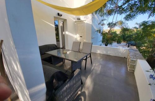 Apollonia House | Black Fig