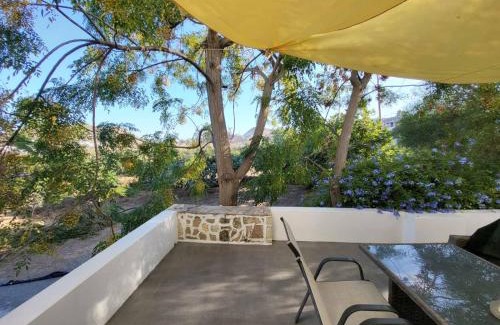 Apollonia House | Black Fig