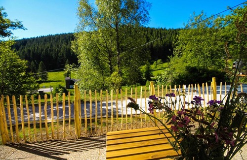 Neuglashutten Apartment | Black Forest Apartements by Hotel Grüner Baum Feldberg