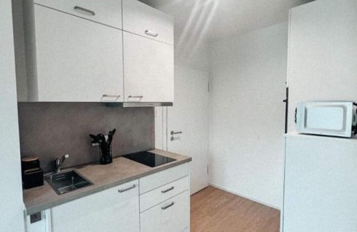 Gengenbach Apartment | Black Forest Apartments One Bedroom Apartment #6