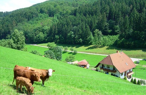 Hofstetten Apartment | Black Forest farmhouse in charming location