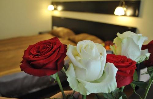 Odessa City Center Hotel | Black Sea Central