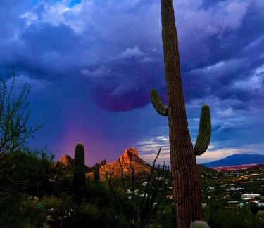Rancho Bella Vista House | Blackfoot Two San Tan Valley
