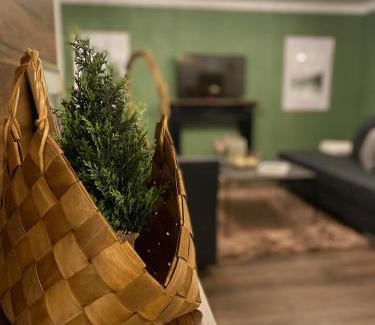 Freudenstadt Apartment | Blackforest Apartment