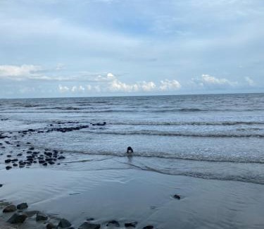 Tanjung Resort | Blackstone Beach Resort