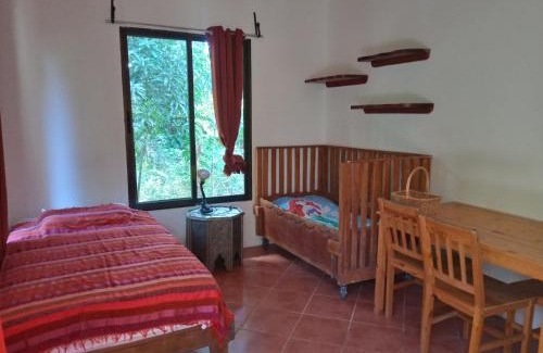 Montezuma House | Blanconejo de Montezuma