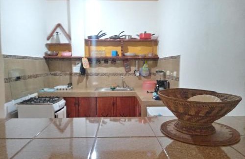 Montezuma House | Blanconejo de Montezuma