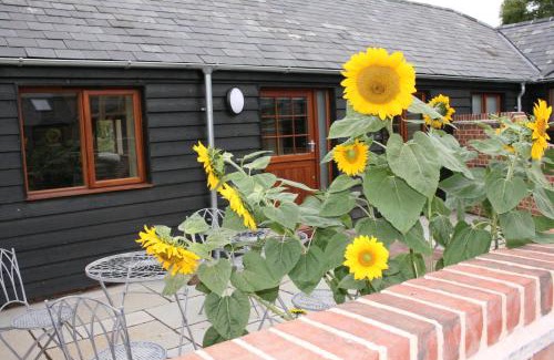 New Forest District House | Blashford Manor Holiday Cottage - The Dartmoor Cottage