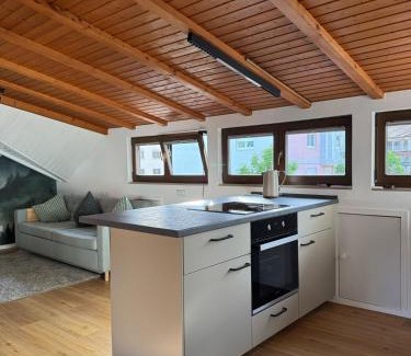 Gutach im Breisgau Apartment | Bleibach Chalet