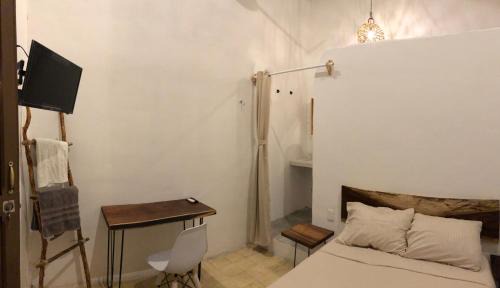 Zona Centro House | Bleu Downtown