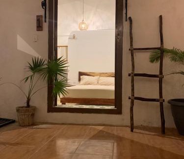 Zona Centro House | Bleu Downtown