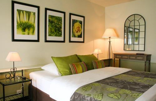 Les Salles-De-Castillon Bed & Breakfast | Bleu Raisin