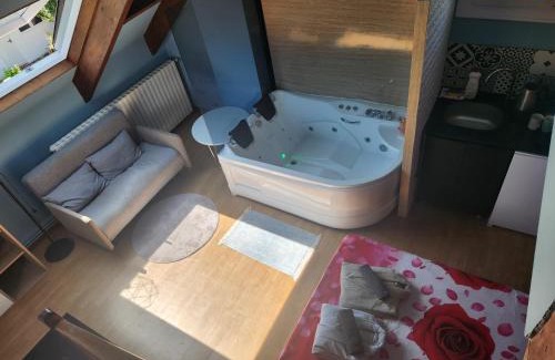 Sevran Apartment | Bleu studio jaccuzi appart