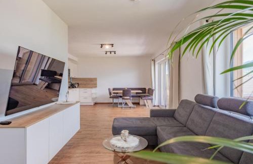 Mittersill Apartment | Blick ins Salzachtal