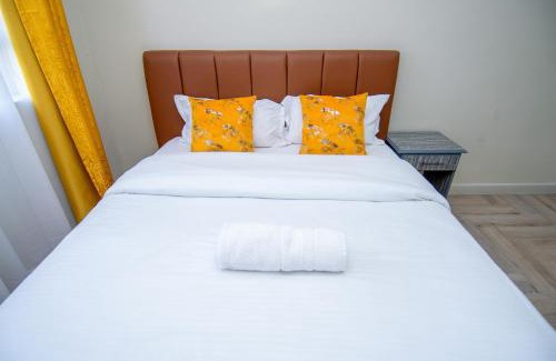 Ngong Apartment | Blink comfort suite- Lion