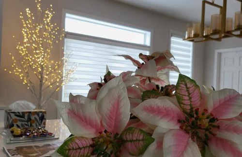 Ottawa Division House | Bliss-Home