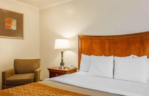 North Fremont Street Hotel | Blu Pacific Hotel