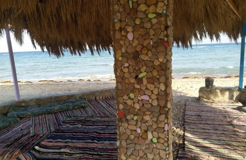 Wasit Other | Blue Beach Camp Nuweiba