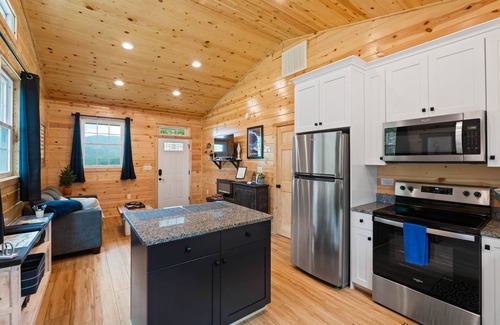 Stanley Cabin | Blue Birch Cottage: A Romantic Couple's Cabin!