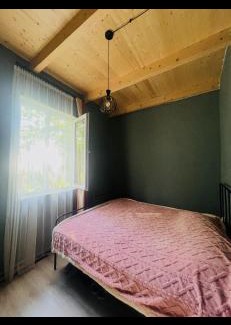 Likani House | blue bird