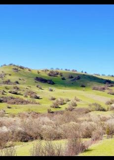 Likani House | blue bird