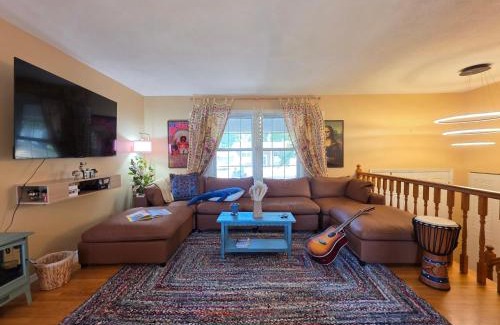 Maryland Heights House | Blue Boho Music and Meme House Four Bedroom Home with Arcade near Westport Plaza