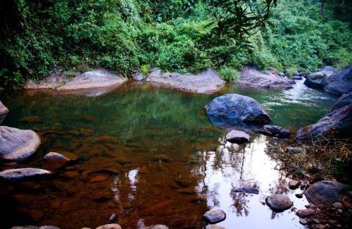 Vayittiri Other | BLUE CREEK resort