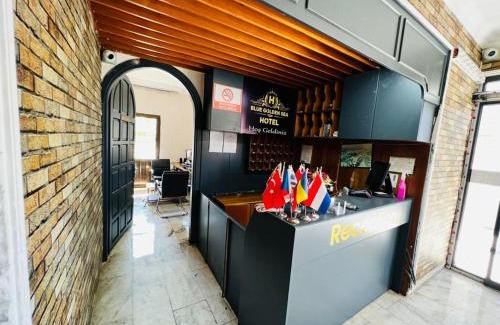 Sogucak Hotel | Blue Golden Sea Hotel