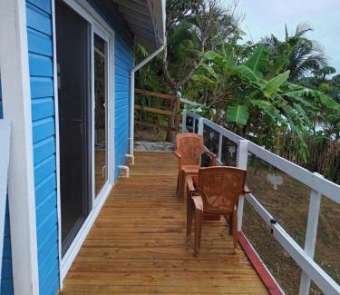 Jonesville House | Blue haus