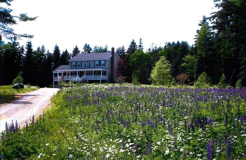 Blue Hill House | Blue Heaven at Blue Hill - Classic Maine Living near Acadia!