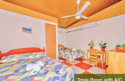 Samara Hotel | Blue Iguana