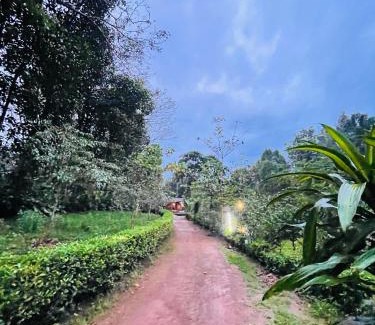 Kothamangalam Resort | Blue Jay Pool Heritage Kerala Resort, Thattekkad