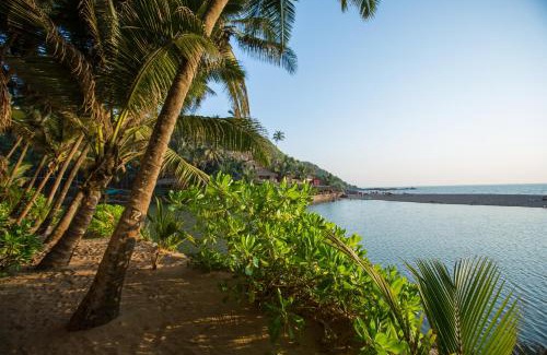 Cola Resort | Blue Lagoon Resort Goa