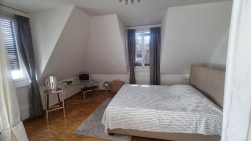 Saint-Gervais Les Bergues Apartment | Blue-Lake View