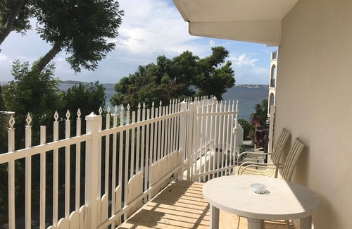 Estate Enighed Villa | Blue Marlin Villa-Nice short walk to Cruz Bay perfect for two! A/C !